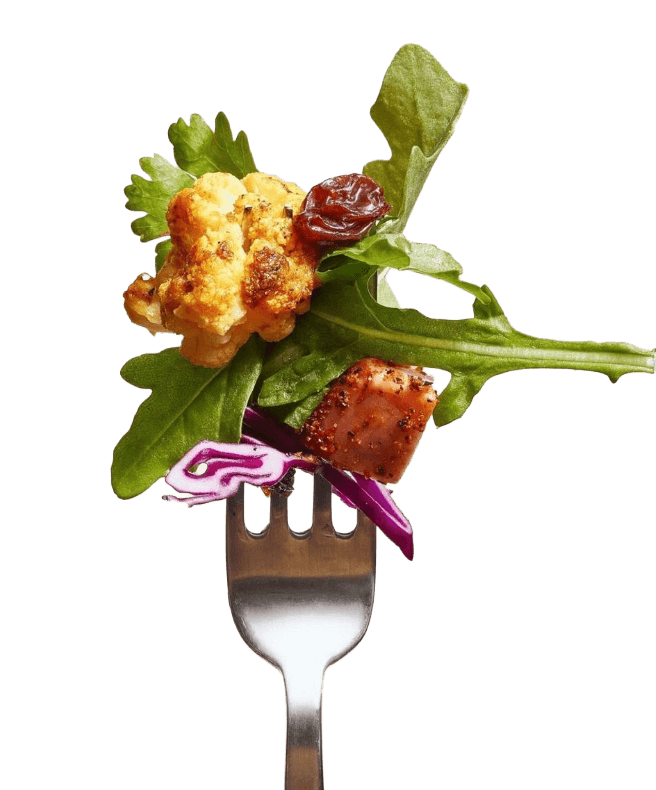 NutriHabitus recipe books